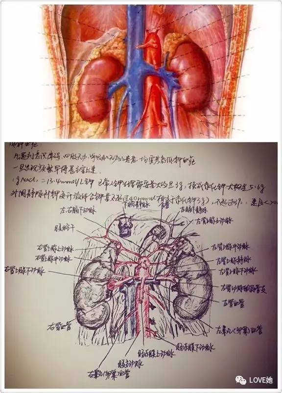 澳门·威斯尼斯wns888